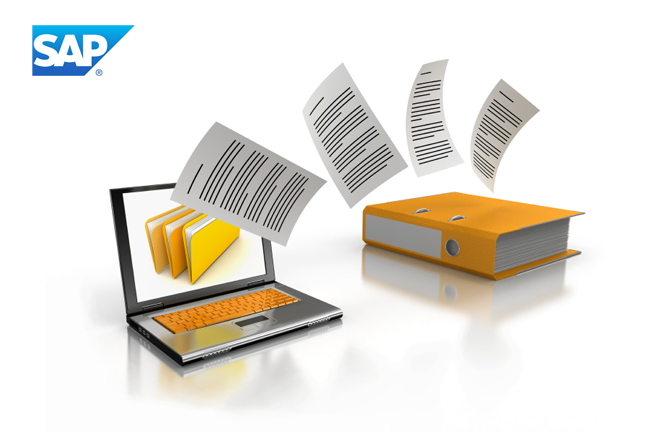 SAP : DMS, PARAMETRIZACIÓN Y REPORTING