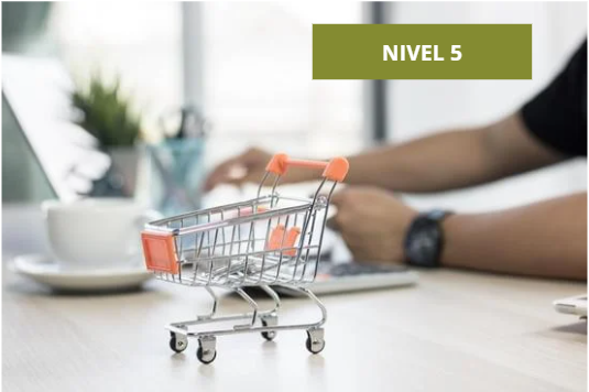 Ecommerce CMS Level 5