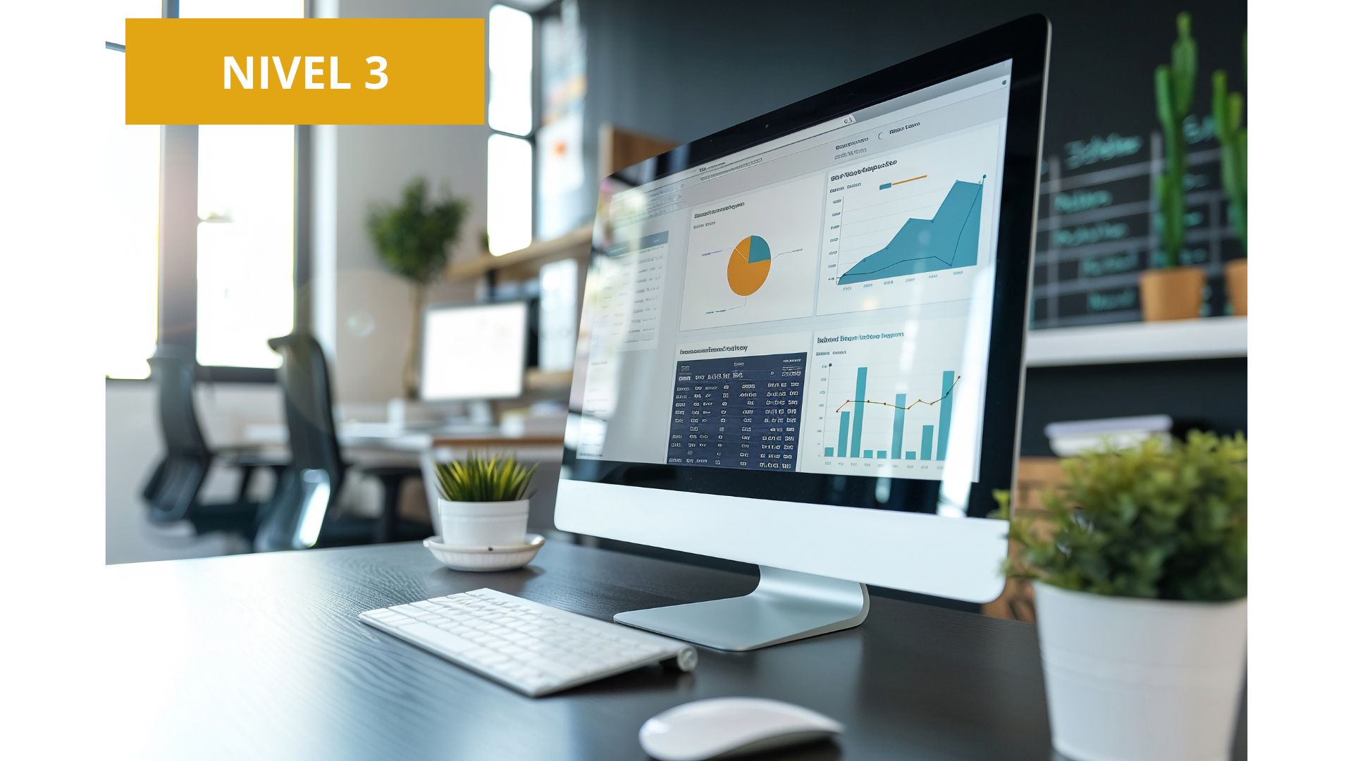 Client Relationship Management-CRM Level 3 (a revisar FUNDAE)