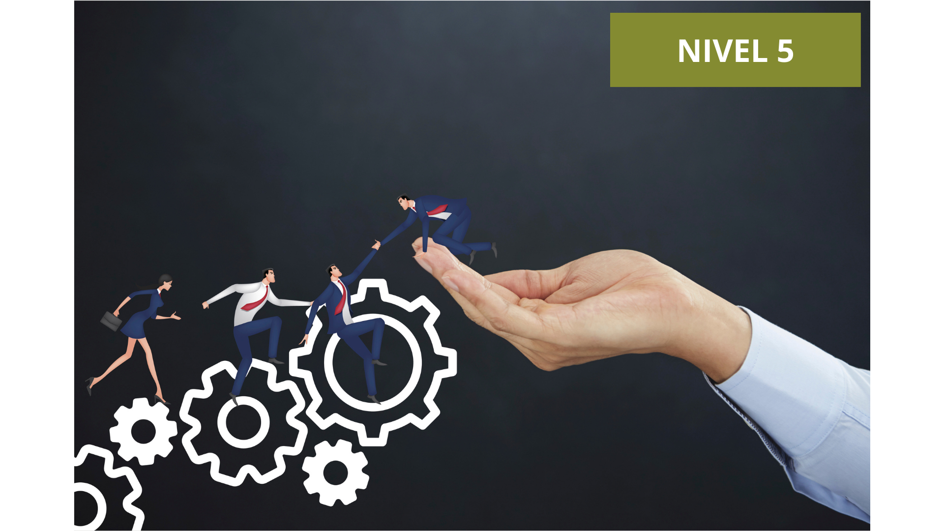 Leadership and essential digital skills Level 5